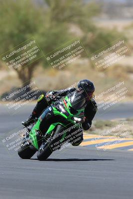 media/May-14-2023-SoCal Trackdays (Sun) [[024eb53b40]]/Turn 5 Tree of Life (1125am)/